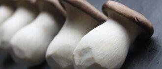 Частое потребление грибов снижает риск заболевания раком на 45% — врачи