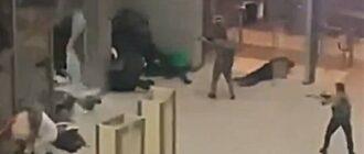 Расстрел в «Крокус Сити Холл». Версии